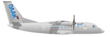 Bild des Flugzeugs AU-140