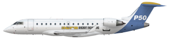 Bild des Flugzeugs AERO-P50