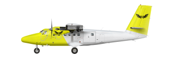 Bild des Flugzeugs SM9 Series